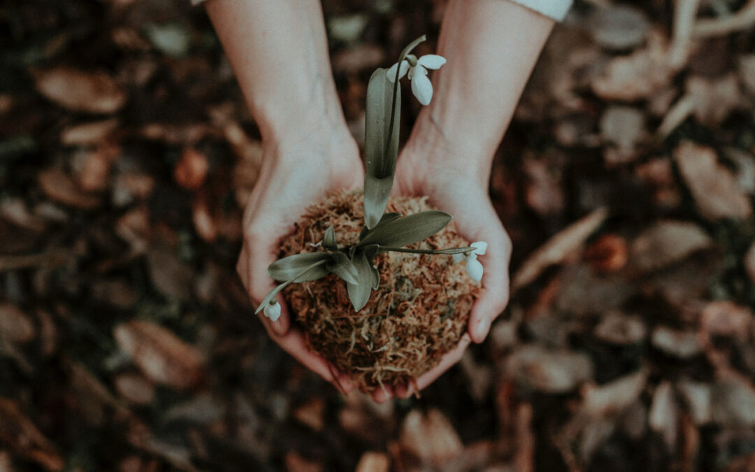 Find Peace And Happiness Through Gardening