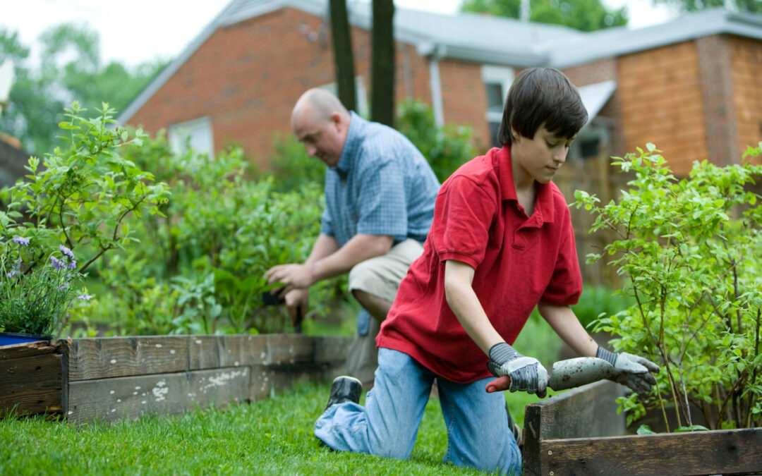 Become An Expert Gardener With These Top Tips